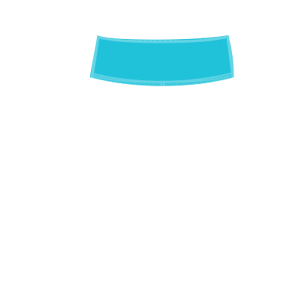 Shock Absorbers