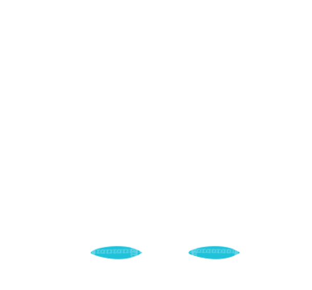 Shock Absorbers