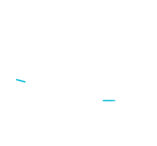 Shock Absorbers