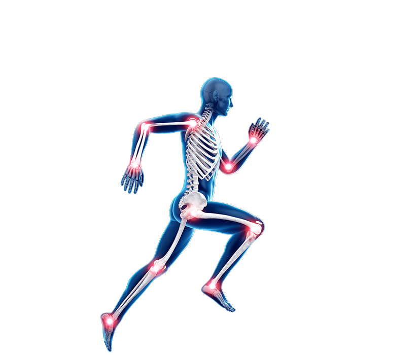Biomechanics